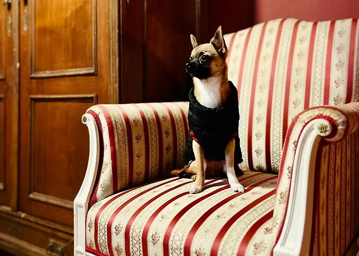 Small Luxury Palace 4*